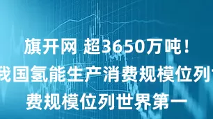 旗开网 超3650万吨！2024年我国氢能生产消费规模位列世界第一